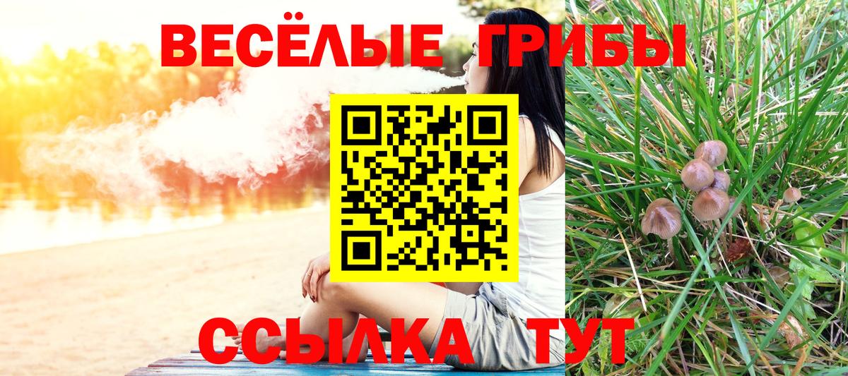 Галлюциногенные грибы MAGIC MUSHROOMS Моздок