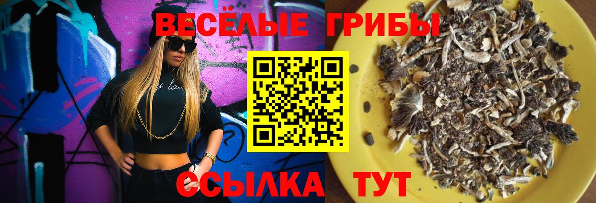 Моздок  Псилоцибиновые грибы GOLDEN TEACHER  наркотики  Вход с VPN 