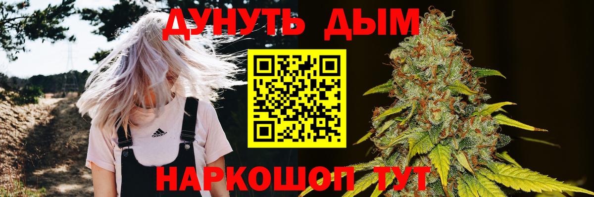 Бошки марихуана THC 21% Моздок